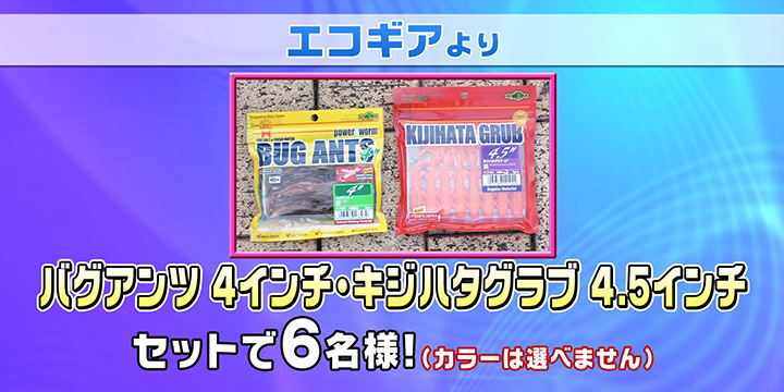 7/31プレゼント